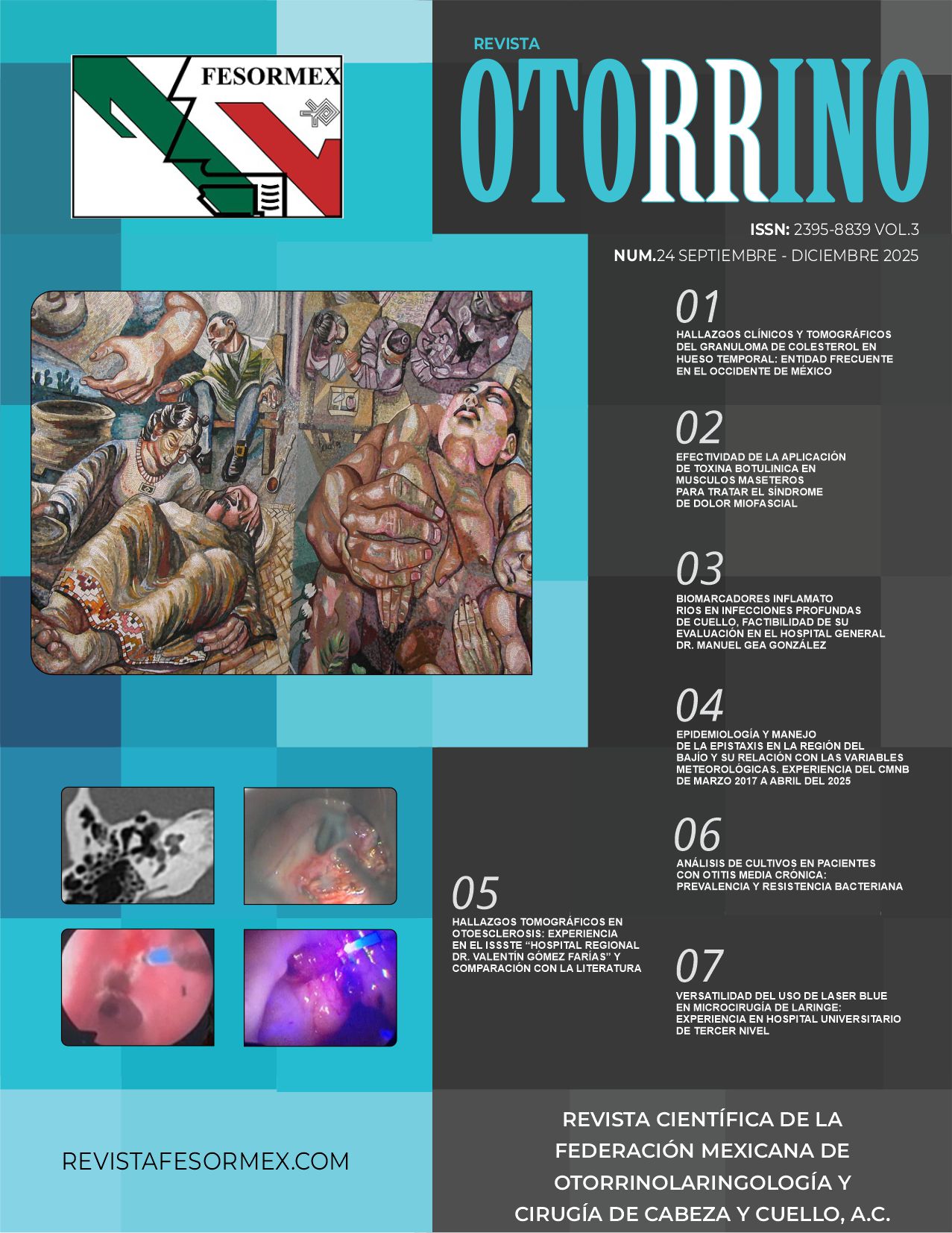 Revista